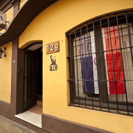 Black Cat Hostel Asuncion Kültér fotó