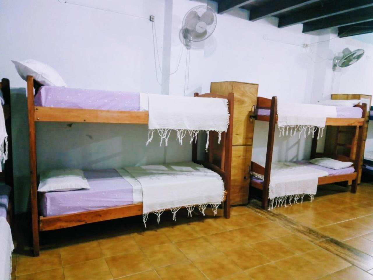 Black Cat Hostel Asuncion Kültér fotó