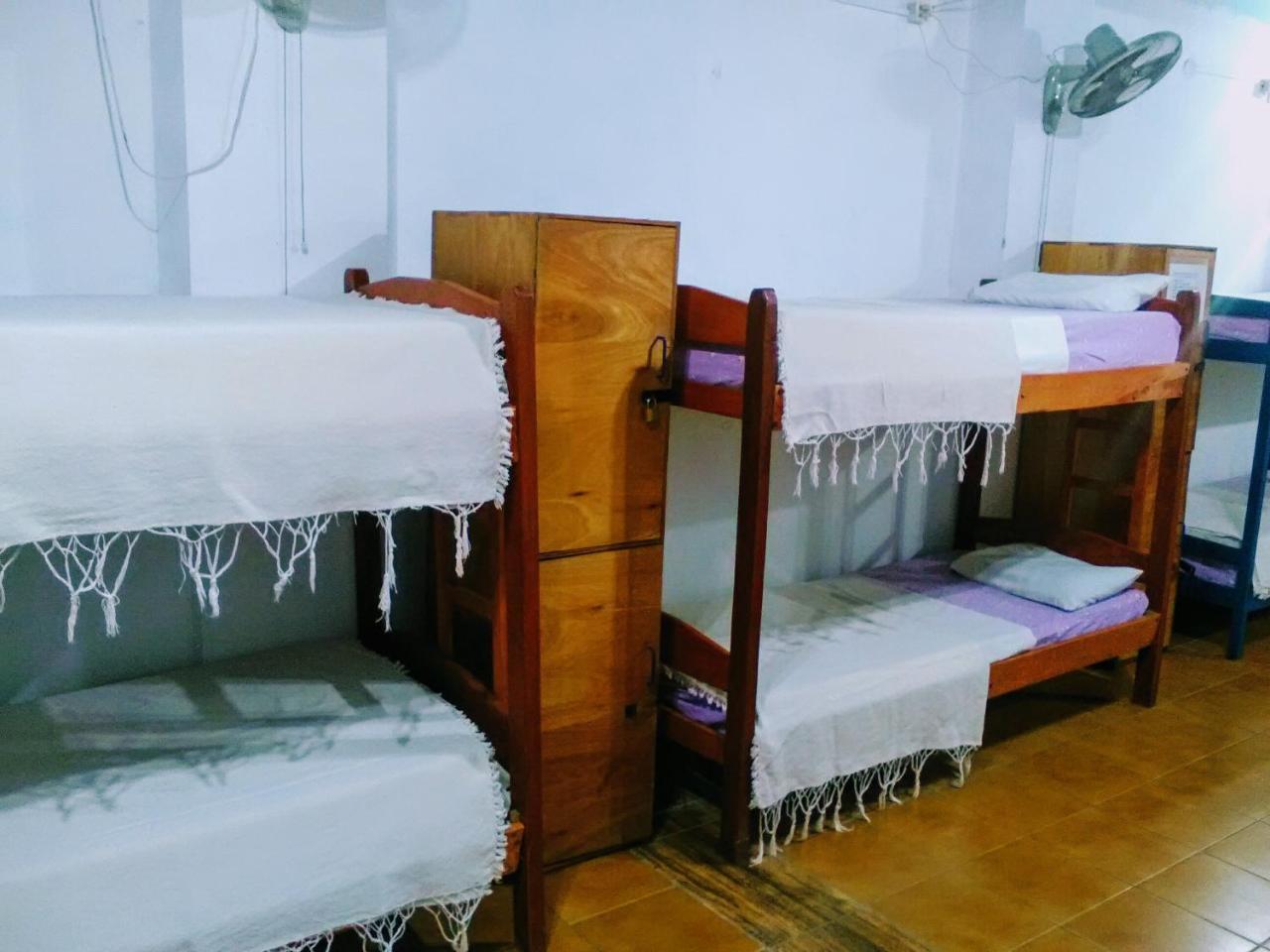 Black Cat Hostel Asuncion Kültér fotó