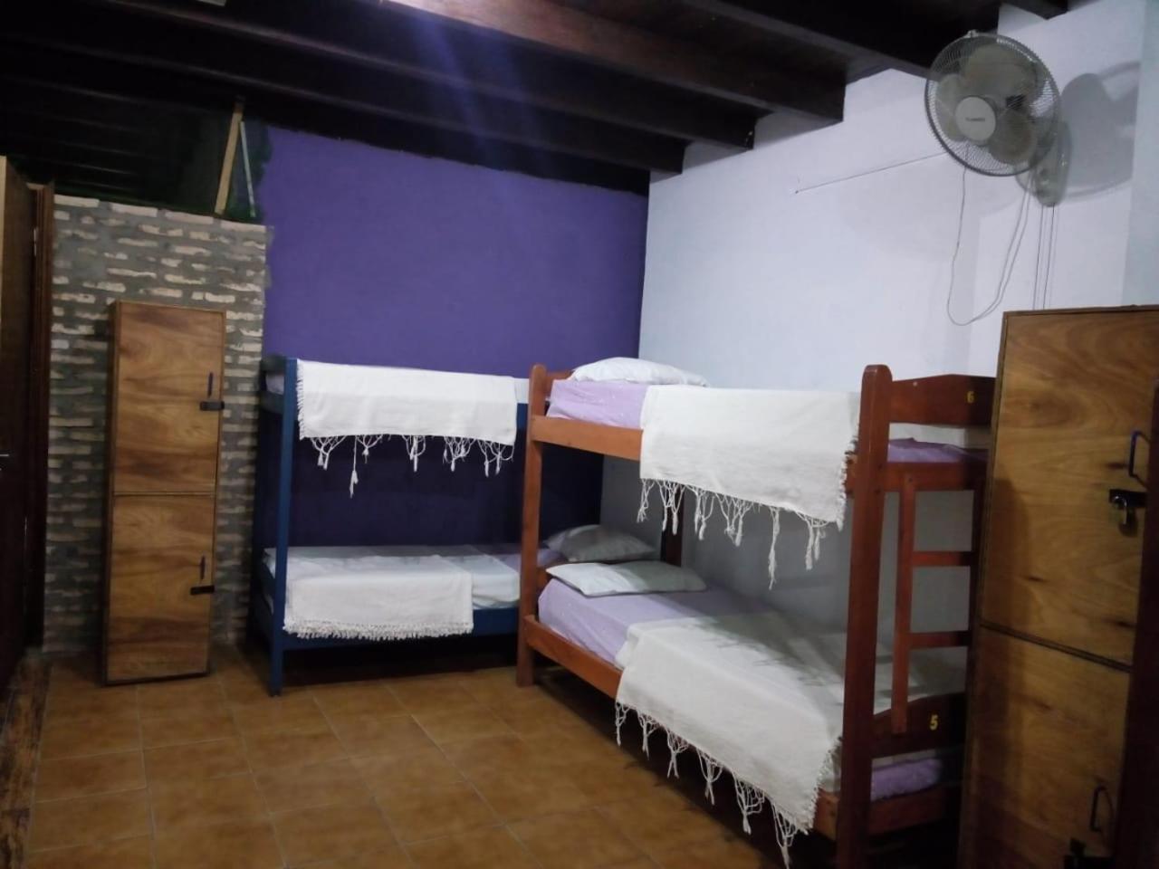 Black Cat Hostel Asuncion Kültér fotó